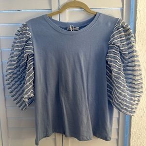 Zara Organza Balloon Sleeve Top